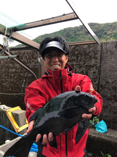 クチブトグレの釣果