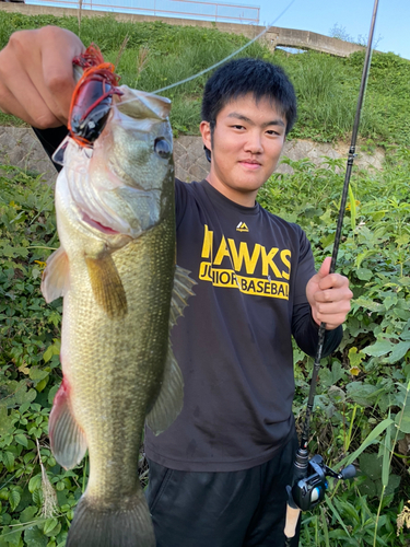 ブラックバスの釣果