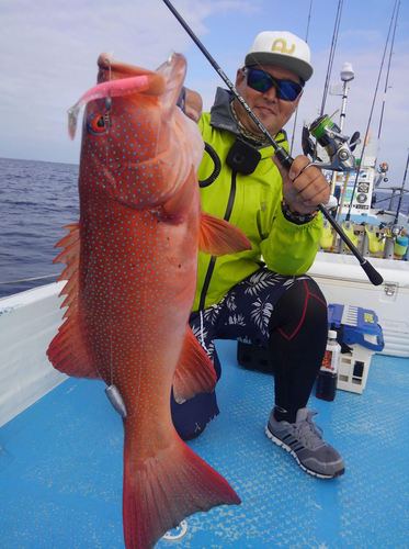 スジアラの釣果