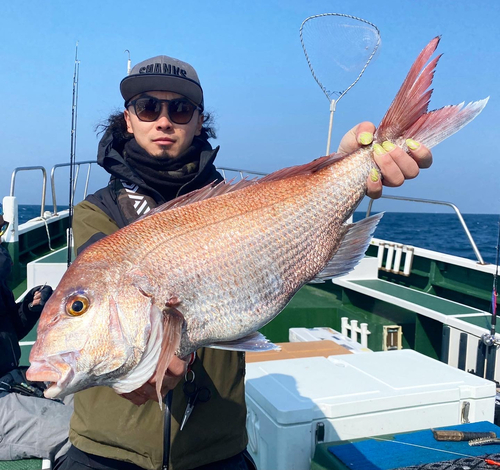 マダイの釣果