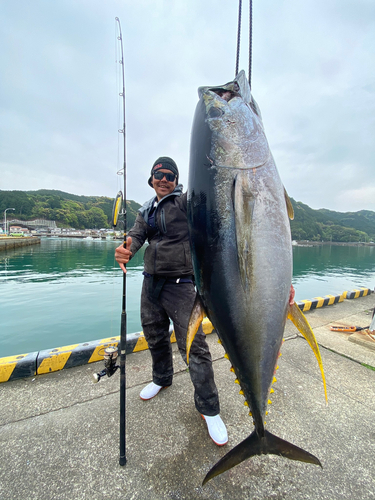 キハダマグロの釣果