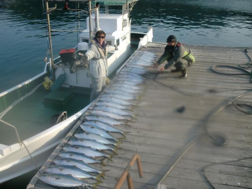 キハダマグロの釣果