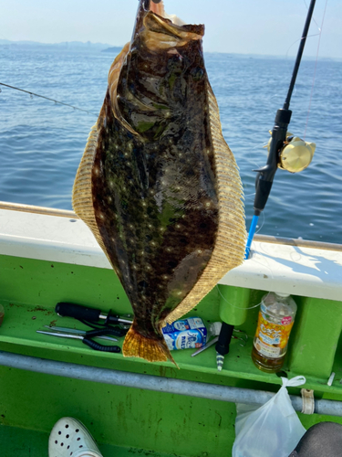 ヒラメの釣果