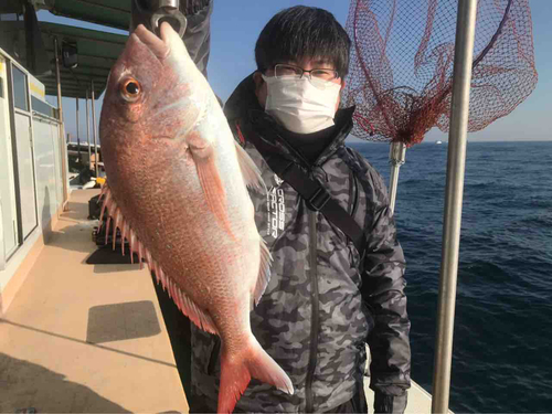 マダイの釣果