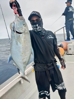 ナンヨウカイワリの釣果