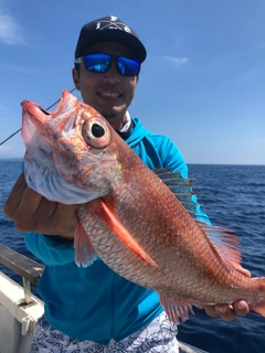 アカムツの釣果