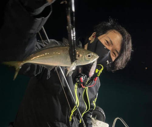 マアジの釣果