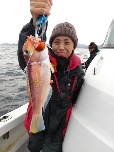 アマダイの釣果