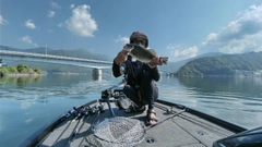 ブラックバスの釣果