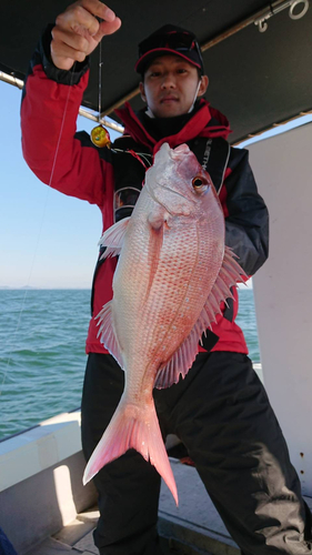 マダイの釣果