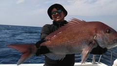 タイの釣果