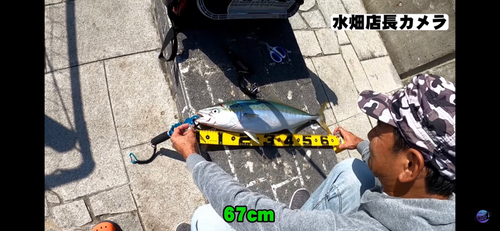 メジロの釣果