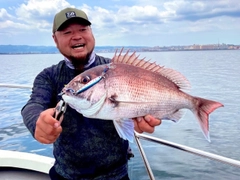 マダイの釣果