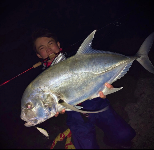 ロウニンアジの釣果