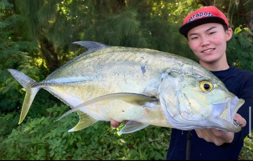 オニヒラアジの釣果