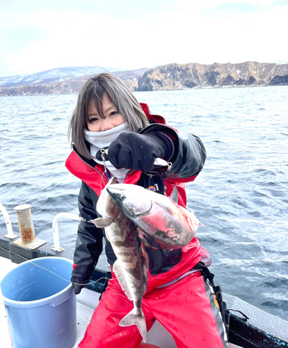 サクラマスの釣果