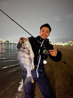 キビレの釣果