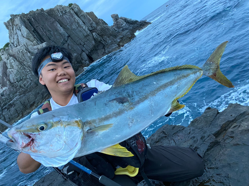 ヒラマサの釣果