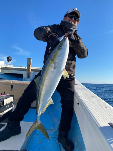 ブリの釣果