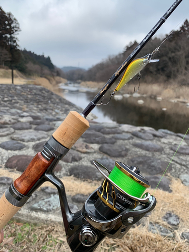 イワナの釣果