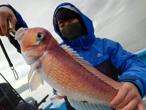 アマダイの釣果