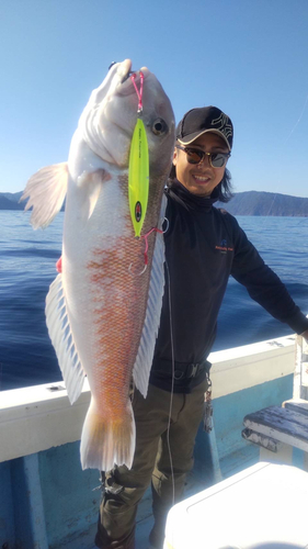 シロアマダイの釣果