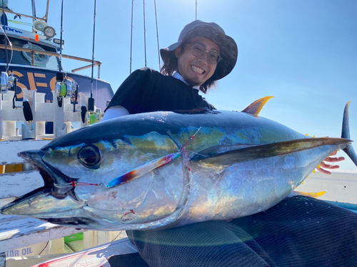 キハダマグロの釣果