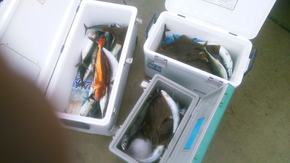 るーるさんの釣果 2枚目の画像