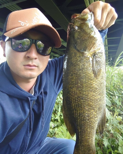 スモールマウスバスの釣果