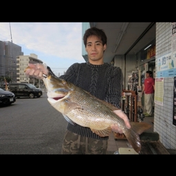 タマン