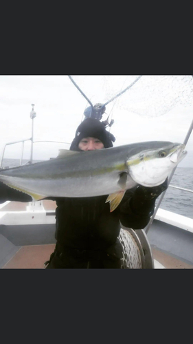 メジロの釣果