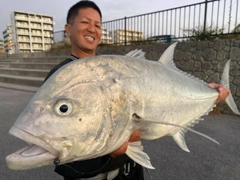 オニヒラアジの釣果