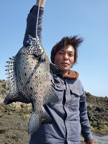 イシガキダイの釣果