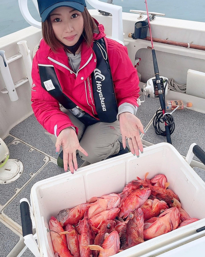 アヤメカサゴの釣果