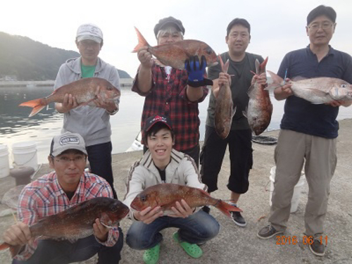 マダイの釣果