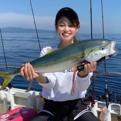 ハマチの釣果