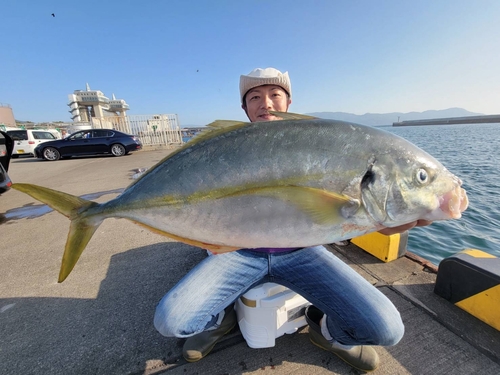 シマアジの釣果