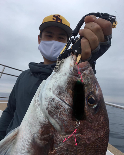 タイの釣果