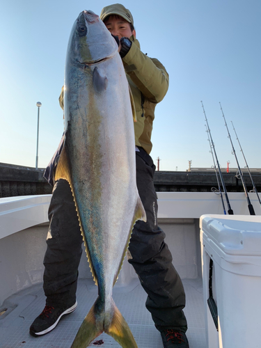 ヒラマサの釣果