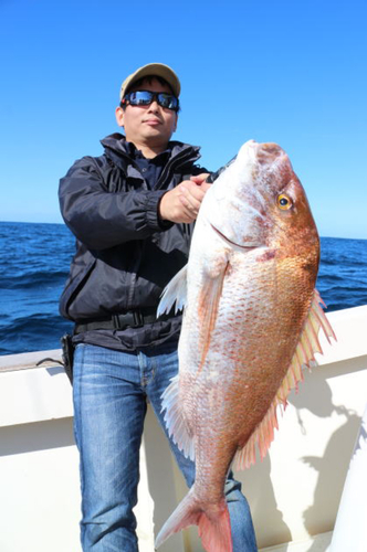 マダイの釣果