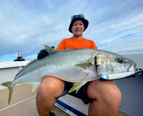 ヒラマサの釣果