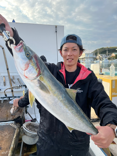 ハマチの釣果