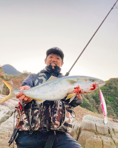 ヤズの釣果