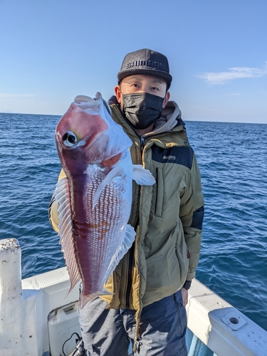 アマダイの釣果