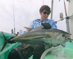 キハダマグロの釣果