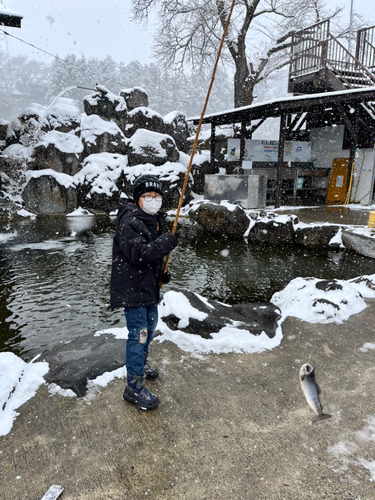 イワナの釣果