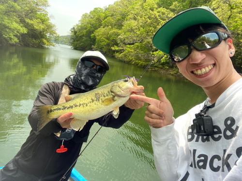 ブラックバスの釣果