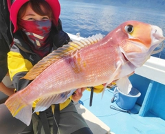 アマダイの釣果