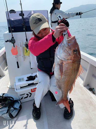 マダイの釣果