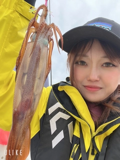 スルメイカの釣果
